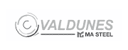 Logo Valdunes